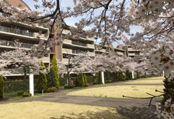 シニアの会があってよかった