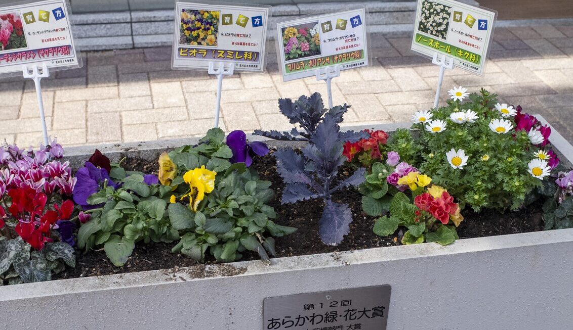 自治体と地域住民（団体）および管理組合との連携による「街なか花壇事業(花植え活動)」の実施について